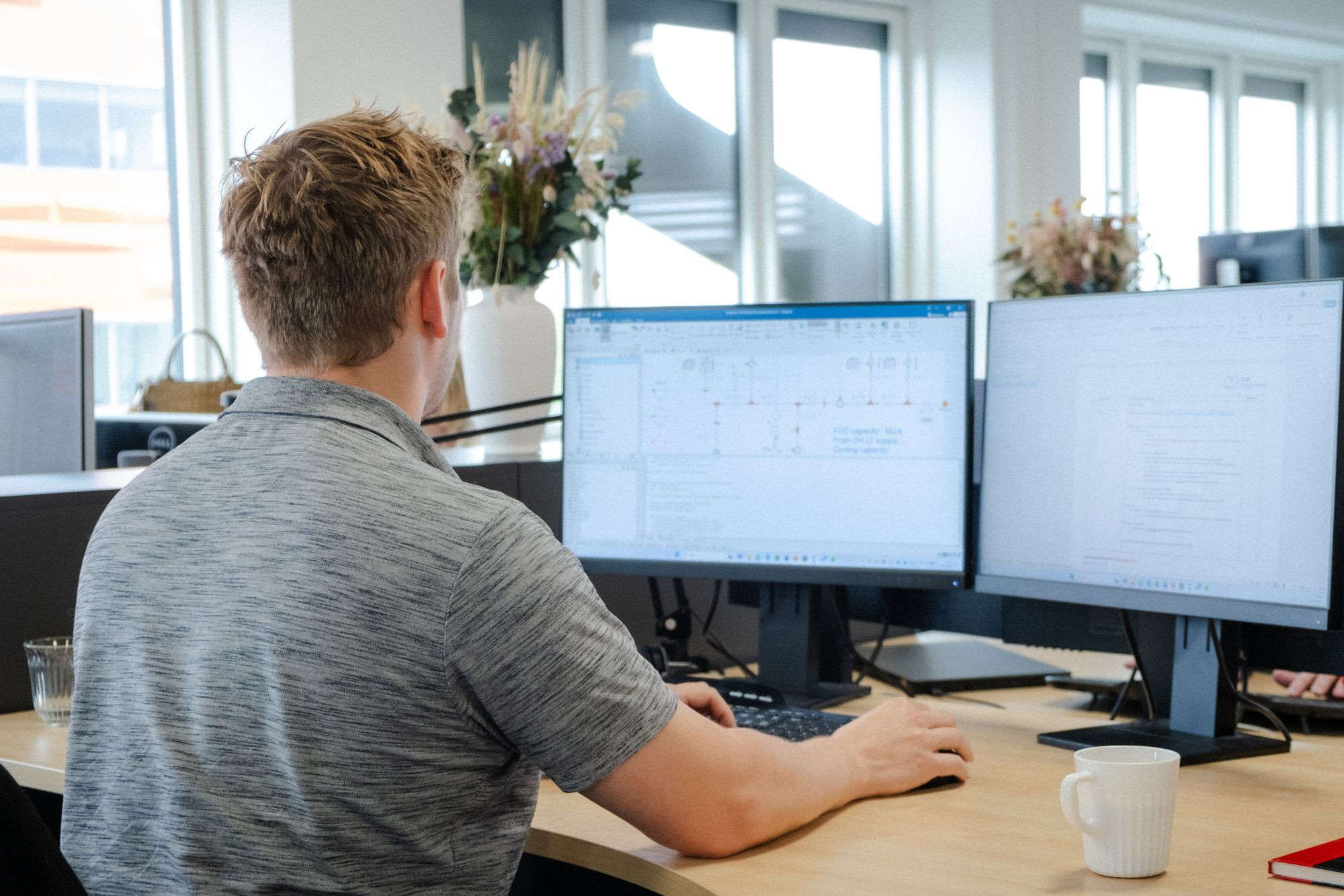 Thermoflex, Modelica and AVPlan