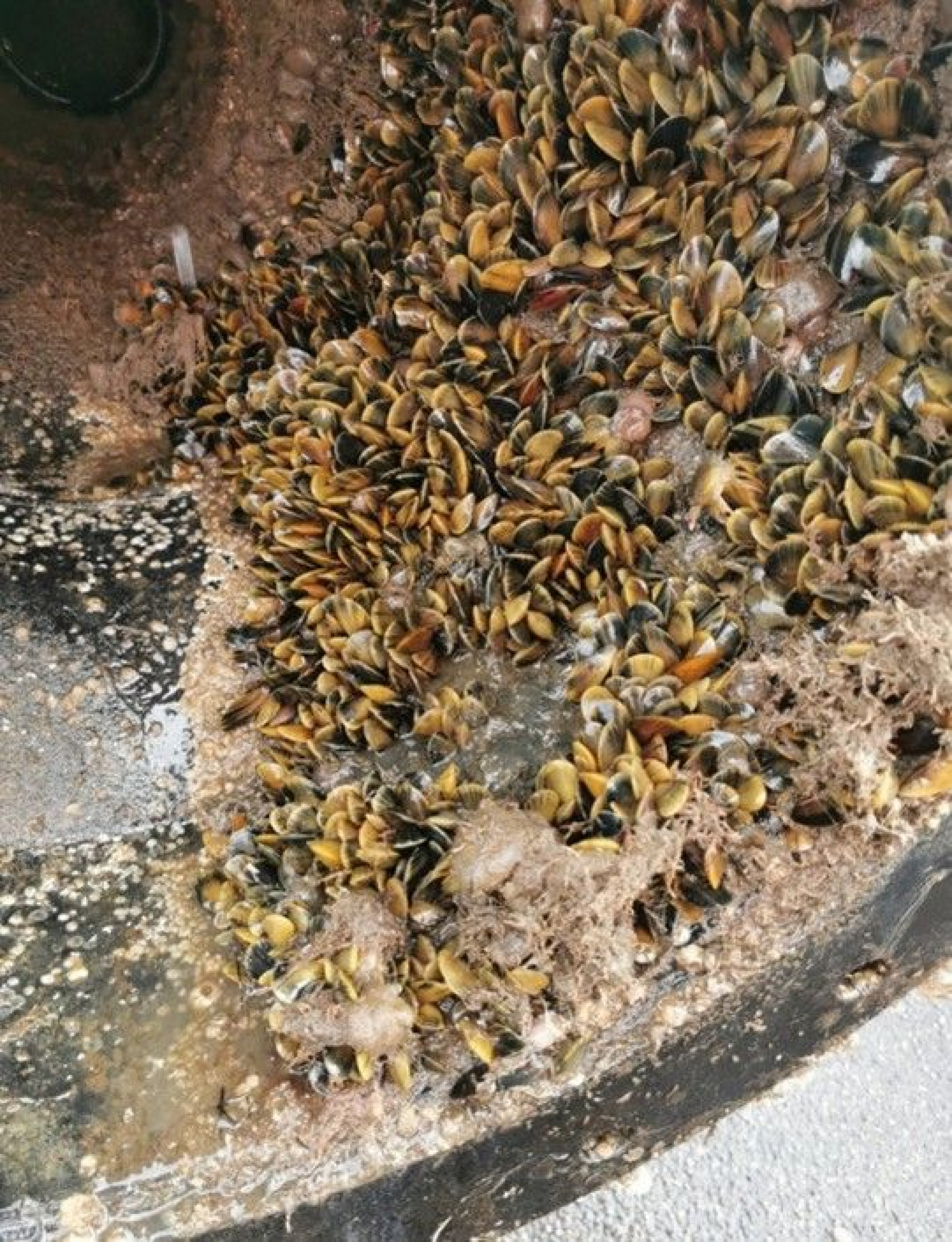 Seawater is challenging